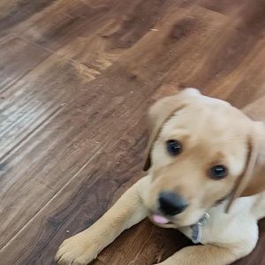 Meet your Posher, Kay